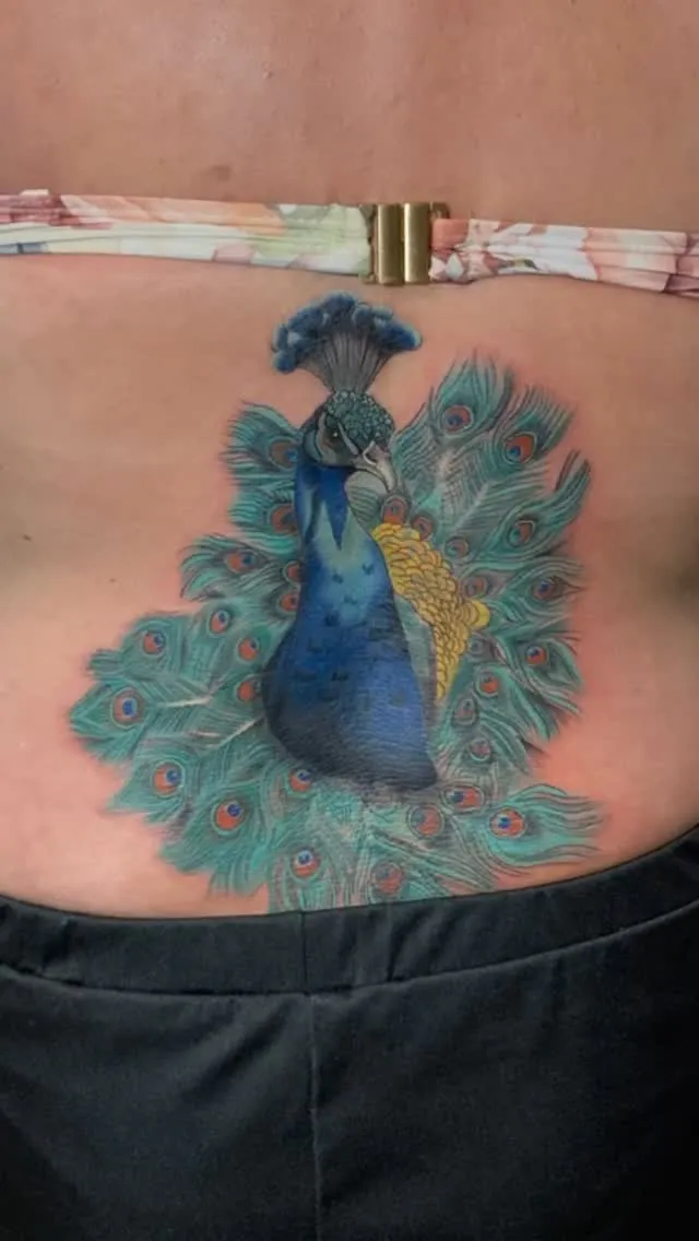 Colour peacock tattoo